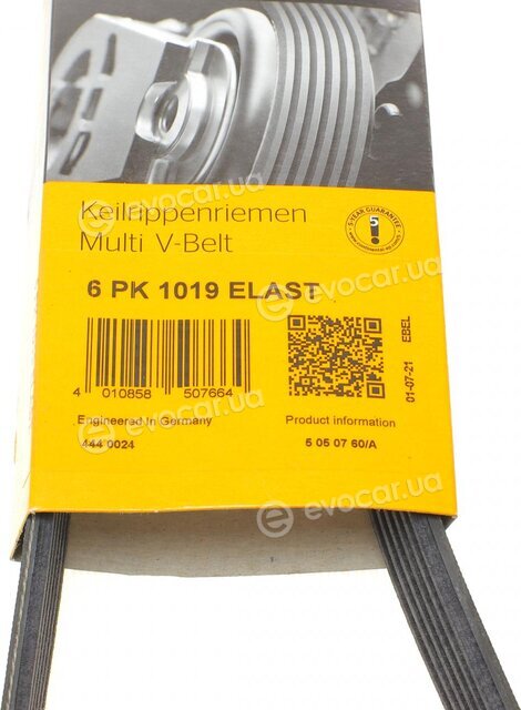 Continental 6PK1019 ELAST