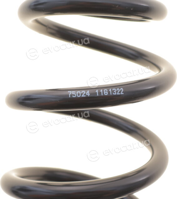Lesjofors 4004346
