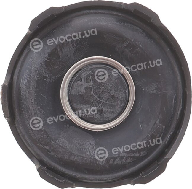 Solgy 124048