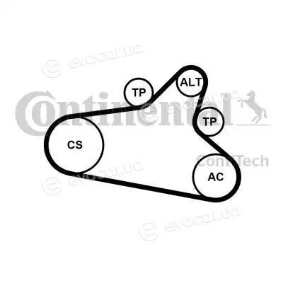 Continental 6PK1020 EXTRA K1