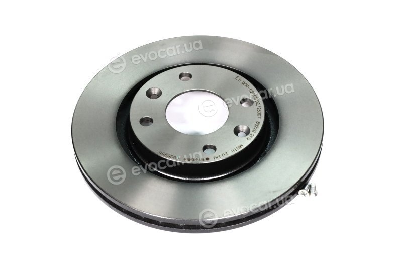 Brembo 09.8695.11