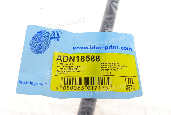 Blue Print ADN18588