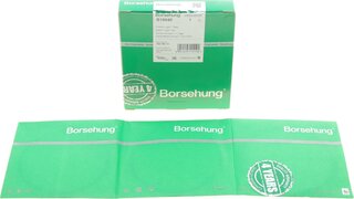 Borsehung B19040