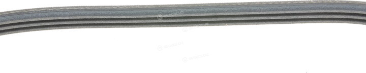 Continental 3PK798 ELAST