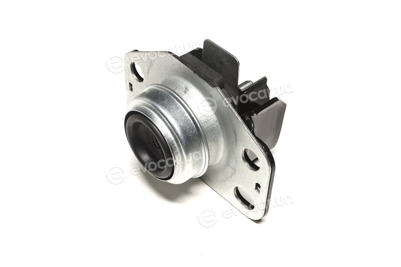 Sasic 4001716