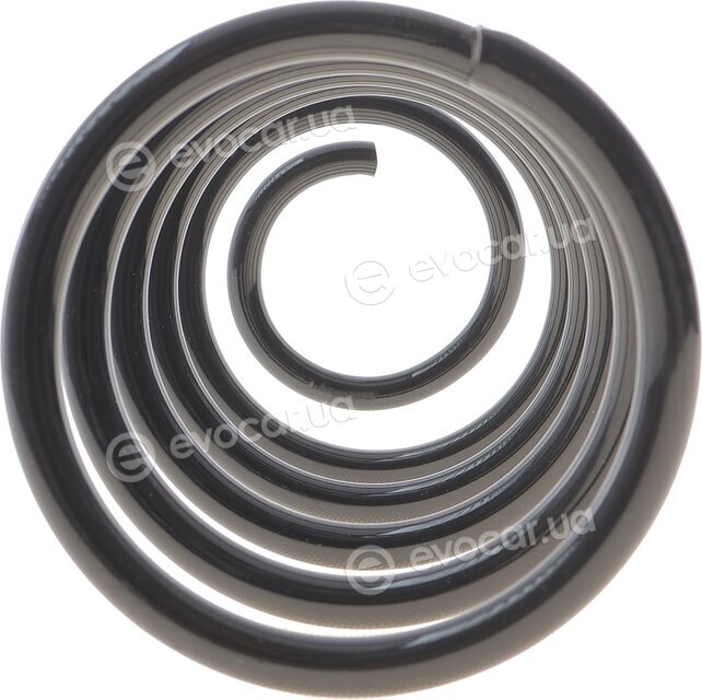 Solgy 212101