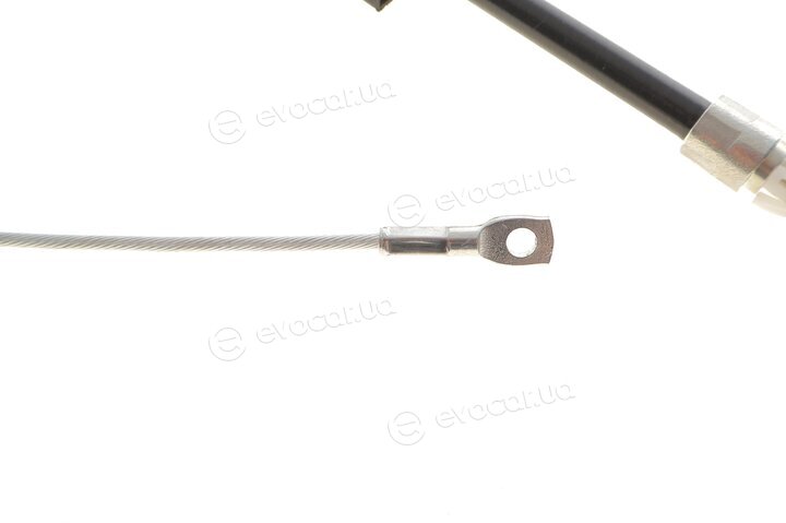 Rotweiss RW42119