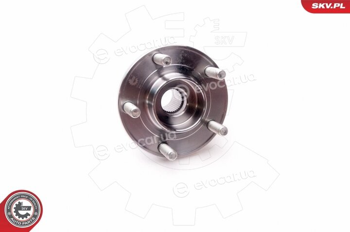 SKV 29SKV021