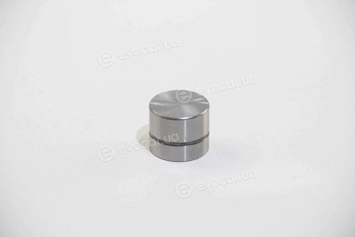 BGA HL6319