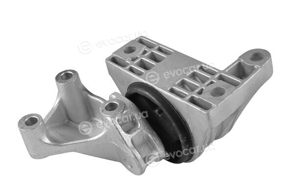 Tedgum TED52003