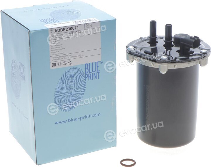 Blue Print ADBP230071