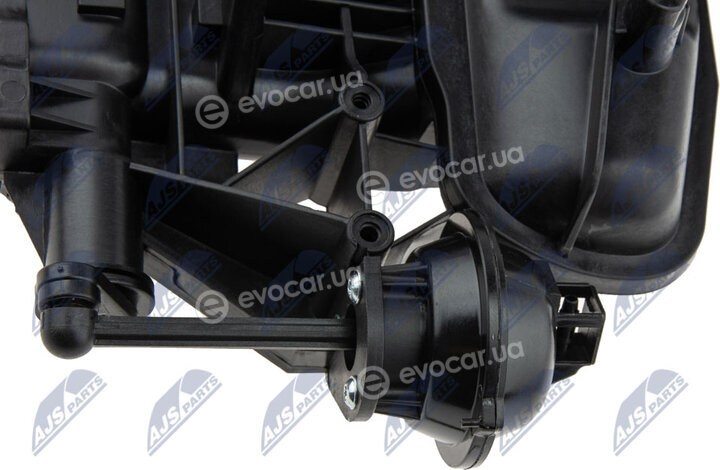 NTY BKS-VW-017