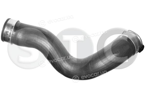 Metalcaucho / STC T498592