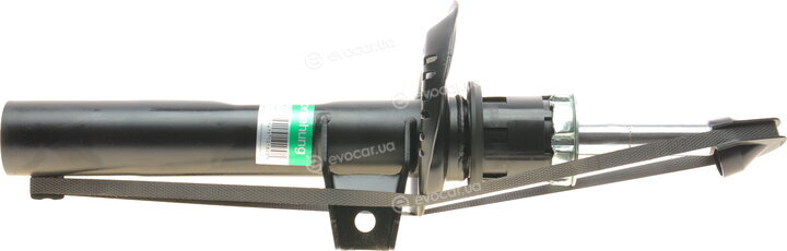 Borsehung B12137