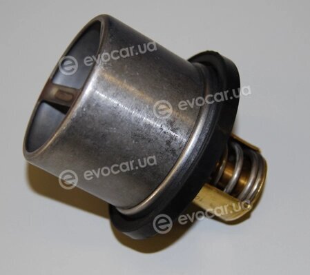 Wahler / BorgWarner 4619.82