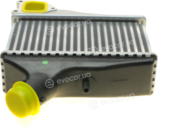 NRF 30950