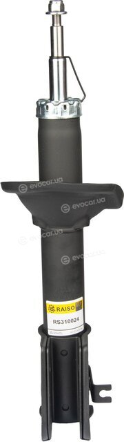 Raiso RS310024