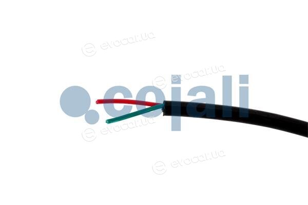 Cojali 2260940