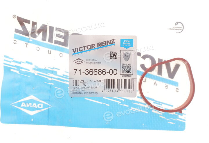 Victor Reinz 71-36686-00