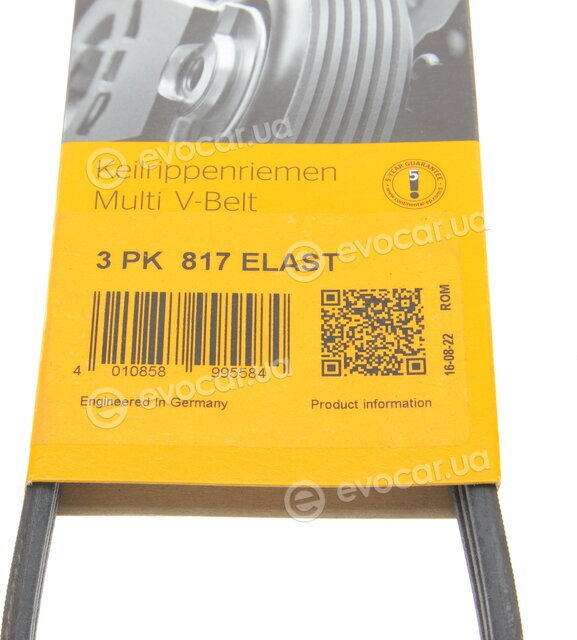 Continental 3PK817 ELAST
