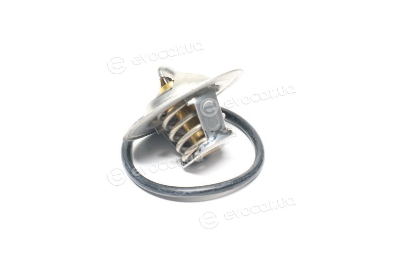 Wahler / BorgWarner 3141.87D