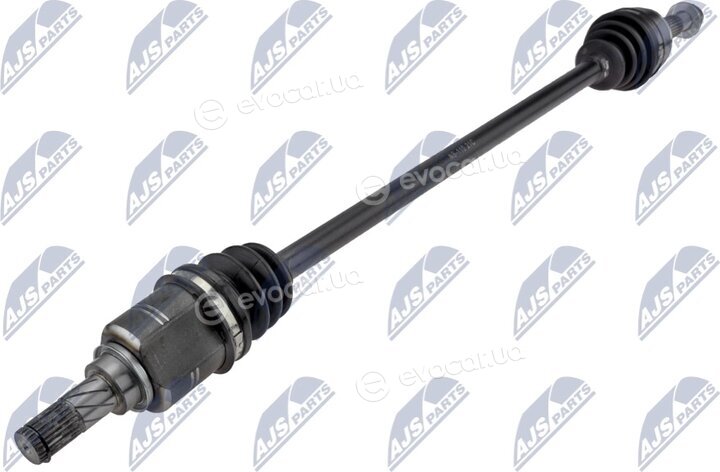 NTY NPW-NS-110