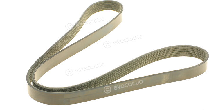 Dayco 6PK1323S