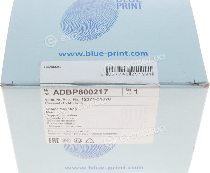 Blue Print ADBP800217