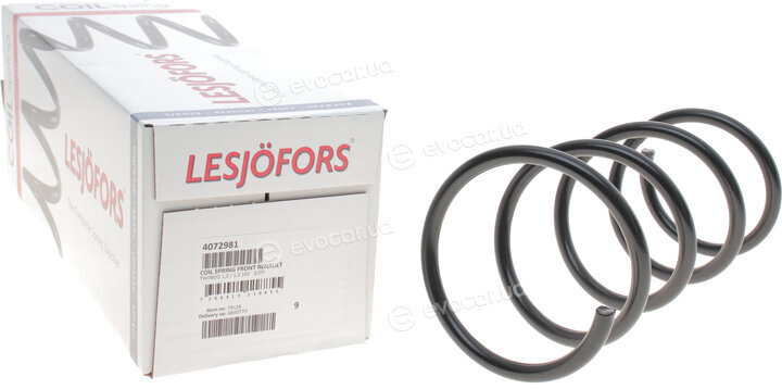Lesjofors 4072981