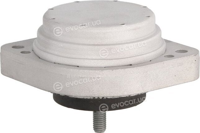 Reinhoch RH11-3062