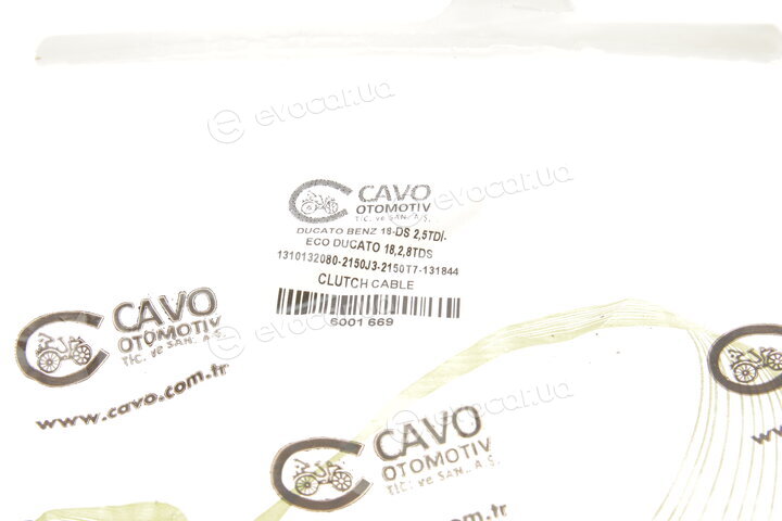 Cavo 6001 669