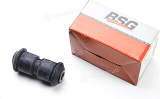 BSG BSG 60-700-031