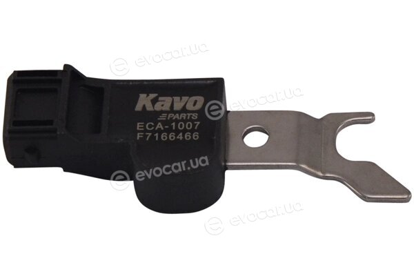 Kavo ECA-1007