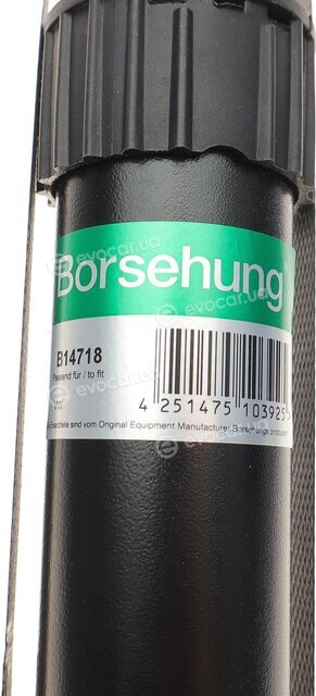 Borsehung B14718