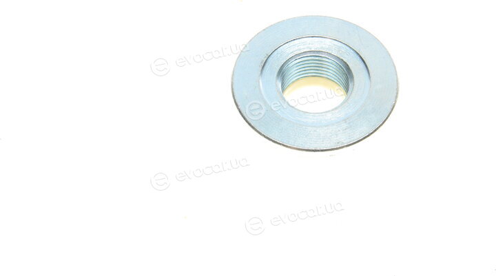 Borsehung B11289