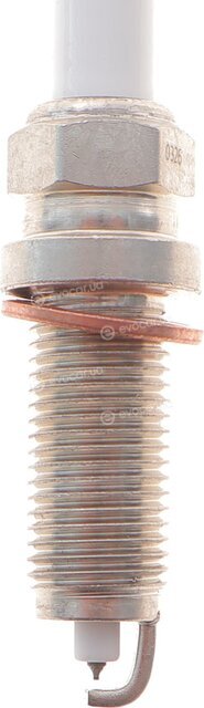 Beru Z502