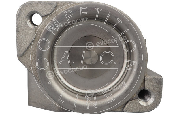 AIC 58805
