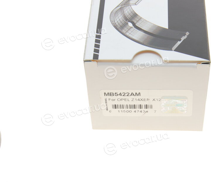 King MB5422AM