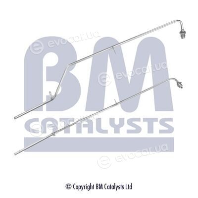 BM Catalysts PP11137A