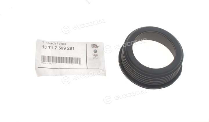 BMW / Mini 13717599291