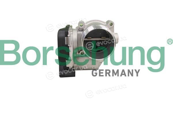 Borsehung B11106