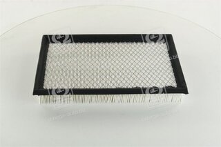 Champion CAF100734P