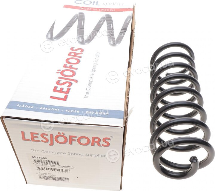 Lesjofors 4217000