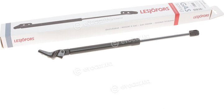 Lesjofors 8144225
