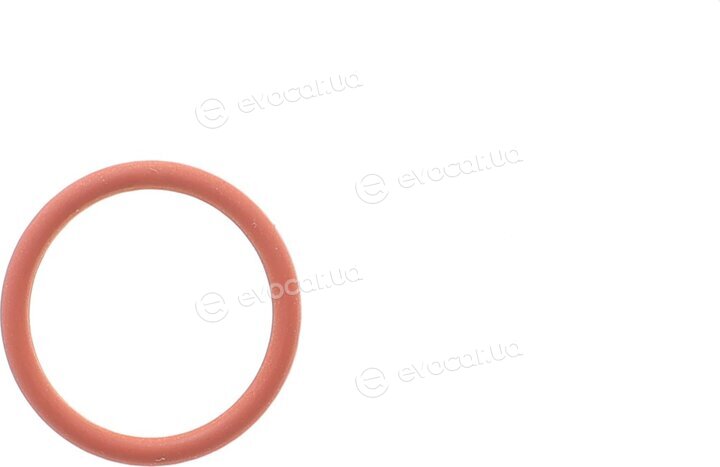 Elring 456.680