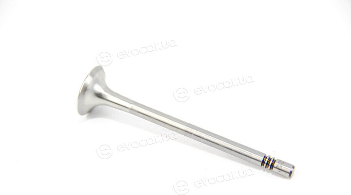 Mahle 029 VA 31971 000