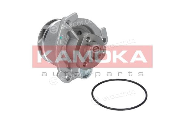 Kamoka T0234