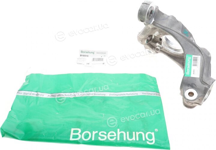 Borsehung B18510