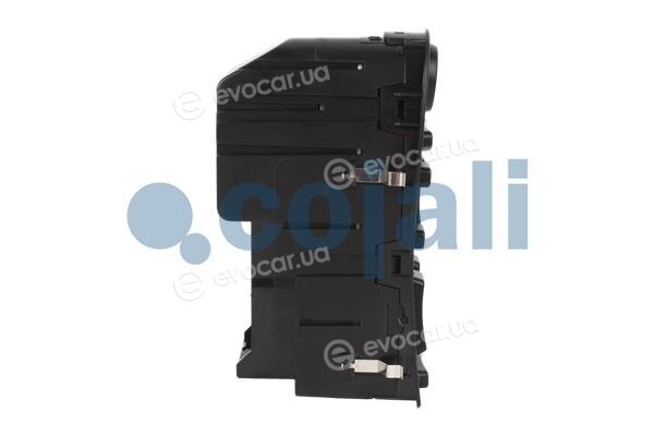 Cojali 2260528