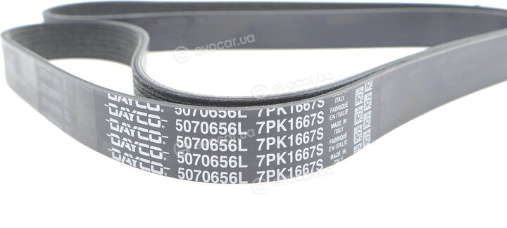 Dayco 7PK1667S